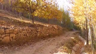 بختیاری شهربلداجی