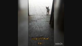 دوبله من خواهرم..