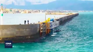 از احتمال انتقال کرونا توسط راسو تا کشف حقه جدید زنبور