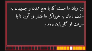 اثبات وجود خدا (2)