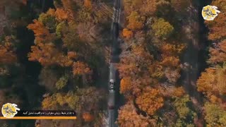 کلیپ زیبایی از عبور #قطار در جنگل زرد رنگ پاییزی