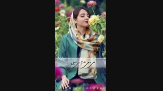 شعر باید بفهمد عاشقم - با صدای سعید مصدق