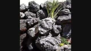 ساختن آبنما و آبشار برکه جوب باسنگهای مالون صخره ای قلواه ای 09124026545