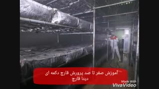 آموزش صفر تا صد پرورش قارچ دکمه ای