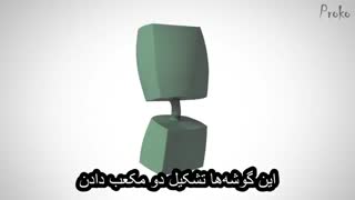 تمرین Robo-Bean