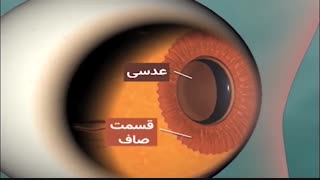 ما چطور می تونیم ببینیم؟