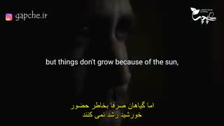 حرکت به سمت رویاها/توقف ممنوع