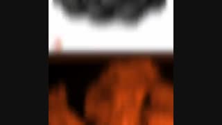 فروش انواع زغال کبابی، لیمو،مرکبات و... گروه آرتازغال09120534383