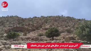 آتش‌سوزی گسترده در جنگل‌های بلواس شهرستان باغملک