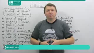 یادگیری زبان انگلیسی با استاد الکس