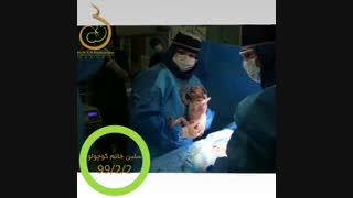 تولد نوزاد