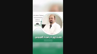 همه چیز در مورد گلوبوس