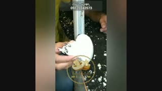 پیش برداشت (فلش اول) مهندس دلشاد 09120342573