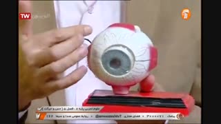 علوم تجربی - پایه هشتم - حس و حرکت  -  آموزشگاه ایران من