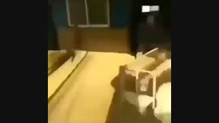 بروسلی چهارپا