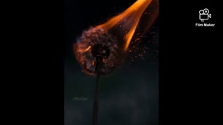 باهم بشنویم