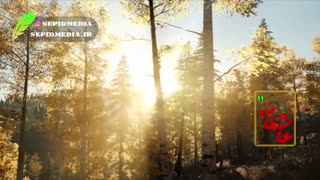 عاشقانه ؛ یازدهم