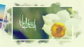 منجی زنده است...