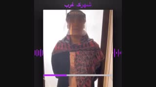 اینشیپ بادی شهرک غرب