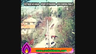 رزرو ویلا جنگلی در ماسال