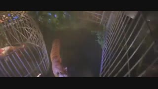 فیلم سینمایی (شورش در برانکس) دوبله فارسی-  با بازی جکی چان