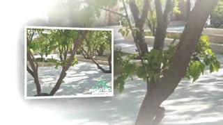 رهن و اجاره باغ ویلا در شهریار