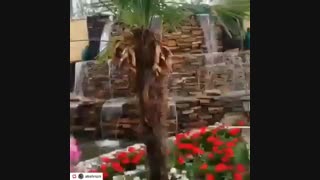 در طراحی ویلا یک محوطه سازی خوب نیاز است در طراحی  محوطه سازی یک آبنمای صخره ای لازم است 09124026545