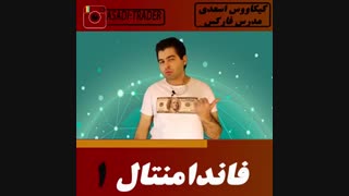 فاندامنتال