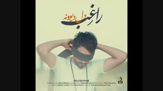 دانلود آهنگ راغب دل دیوونه