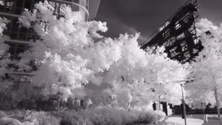 فیلترهای مادون قرمز یا IR و تاثیر آن در عکاسی و فیلم برداری - نگاه شاپ