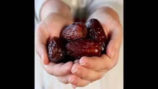 خرمای+ابوشهر+(+Abushahrdate.ir+)