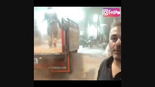 محیط کارگاه تولید زغال