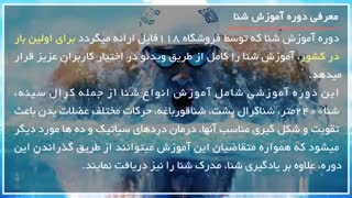 آموزش شنا برای  مبتدیان بصورت کامل