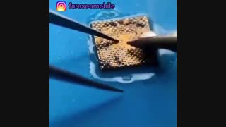 فرصتی عالی برای یادگیری یک حرفه جدید