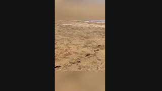 جزیره سه دندون