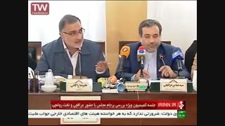 کمیسیون برجام - تیم مذاکرات هسته‌ای - جلسه 4