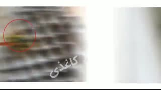 زنبورهای وحشی دشمن زنبور عسل | سم مخصوص کشتن زنبور وحشی