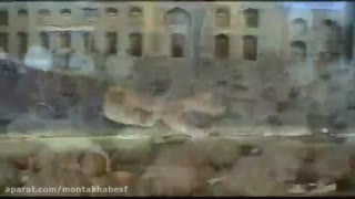 فاطمه عبادی در حرم رضوی