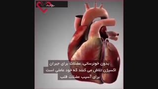 نحوه عملکرد قلب