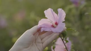 تبلیغ زیبآ از پارک شین هه برای شرکت Mamonde