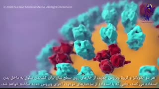 کرونا در بدن ما چه می کند