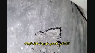 کارشناسی تخصصی خودرو در محل:<<الوچک>>