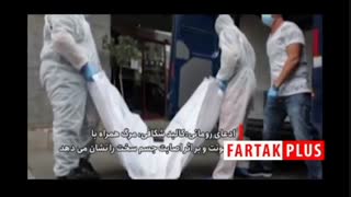 آیا قاضی منصوری زنده است؟