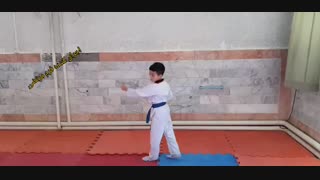 فرم یک تکواندو تگوک ایل جانگ ( وبلاگ تکواندو استاد جلیل قلندری )