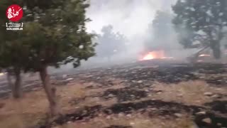 گزارش از آتش‌سوزی چند روزه در لوداب کهگیلویه و بویراحمد