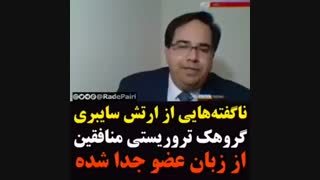 ناگفته هایی از ارتش سایبری منافقین