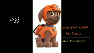 اسم سگهای نگهبان و شخصیت های کارتون پاپاترول