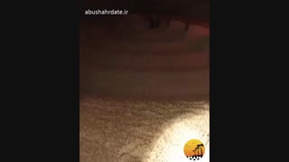 تفت دادن( بو دادن ) ارده فروشگاه شرکت ابوشهر