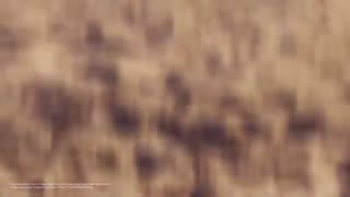 نقد و بررسی گلکسی اس 20 اولترا 5G: یک غول اندرویدی!