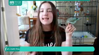 چه کار کنیم تا طوطی گاز نگیرد